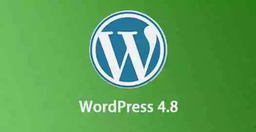 6月8日，WordPress 4.8如约而至